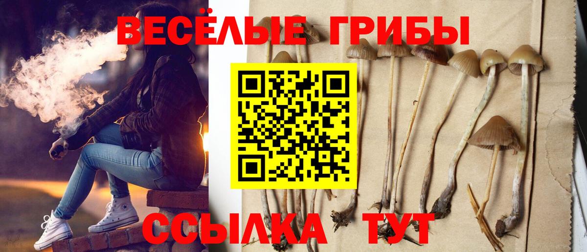Псилоцибиновые грибы MAGIC MUSHROOMS  Галлюциногенные грибы мухоморы  Вход с VPN  Балашиха 