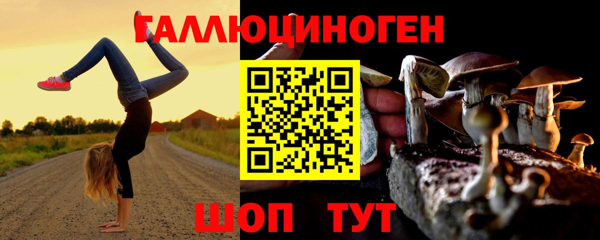 Галлюциногенные грибы мицелий Балашиха